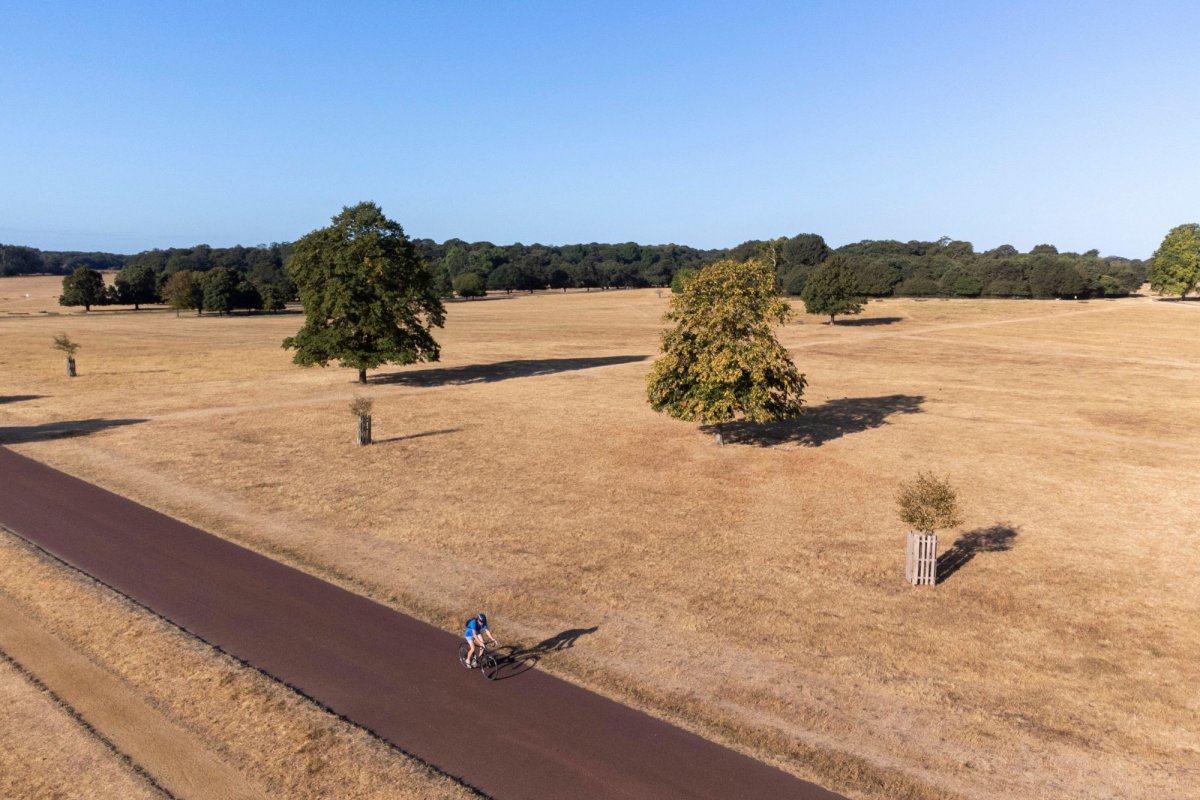 UK Climate Change Concern Rises to 74% After Hot Summer, Ipsos Poll Finds