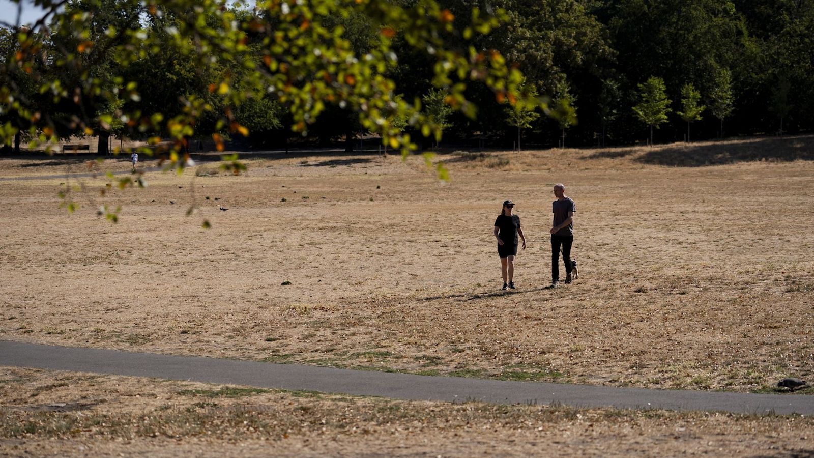UK Temperatures Could Hit 36C Next Week, Prompting Heat Health Alerts and Hosepipe Bans